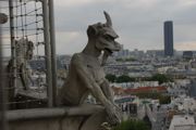 travel image